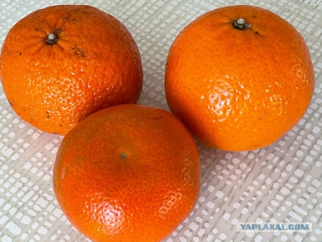 #ДРКулинарии2021, Курица в клементинах