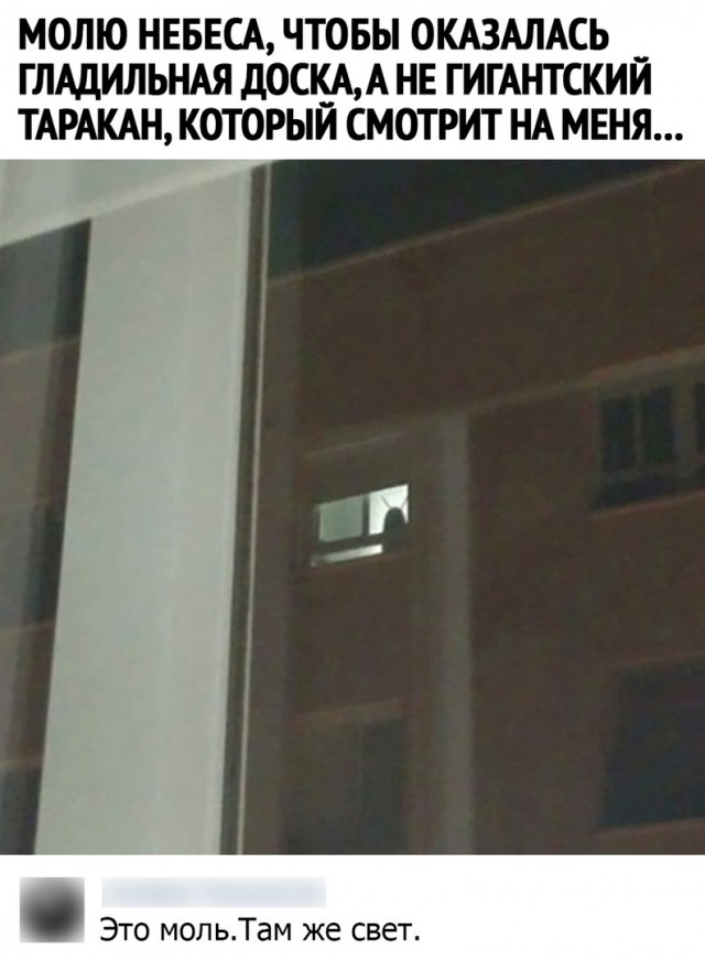Так себе картинки 24.02.21