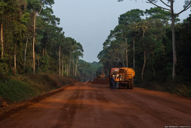 Уганда: самая настоящая Африка с гориллами и носорогами!