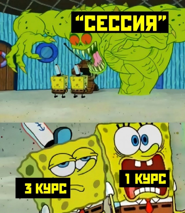Весёлый полтишок 15.06.