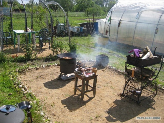 Пловские старания, ... эпическое полотно о Плове...