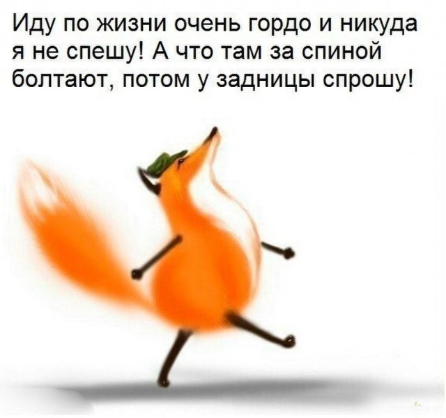Так себе картинки 31.10.21