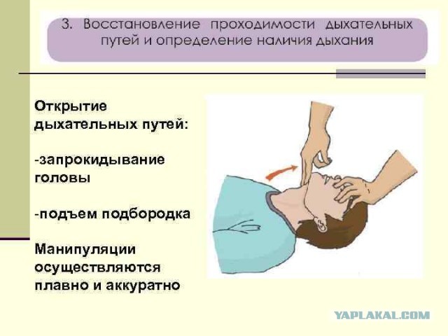 В Люберцах сегодня умер старшеклассник прямо во время экзамена