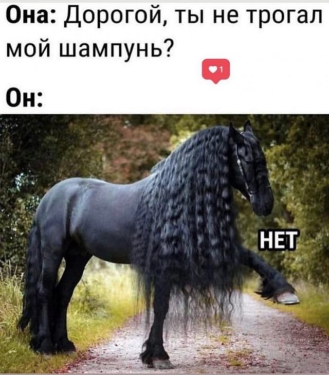 Картинки с надписями и всякие жизненные фразы