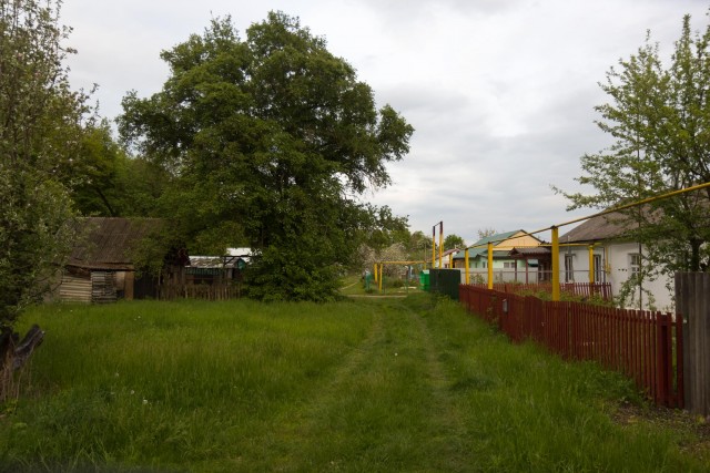 Вот моя деревня-1