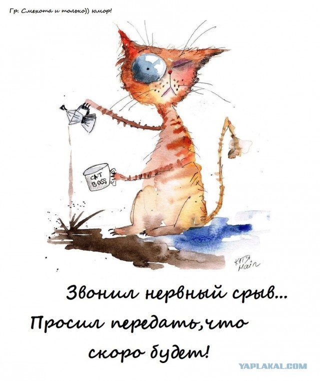 Б.леди или вся правда об анкетах знакомств!