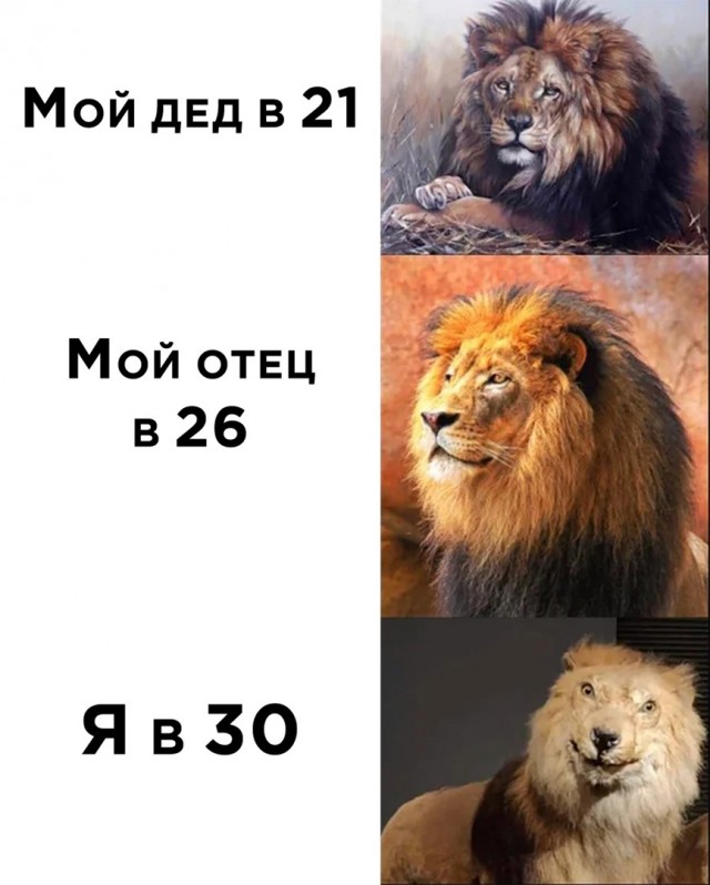 Так себе картинки 11.06.22