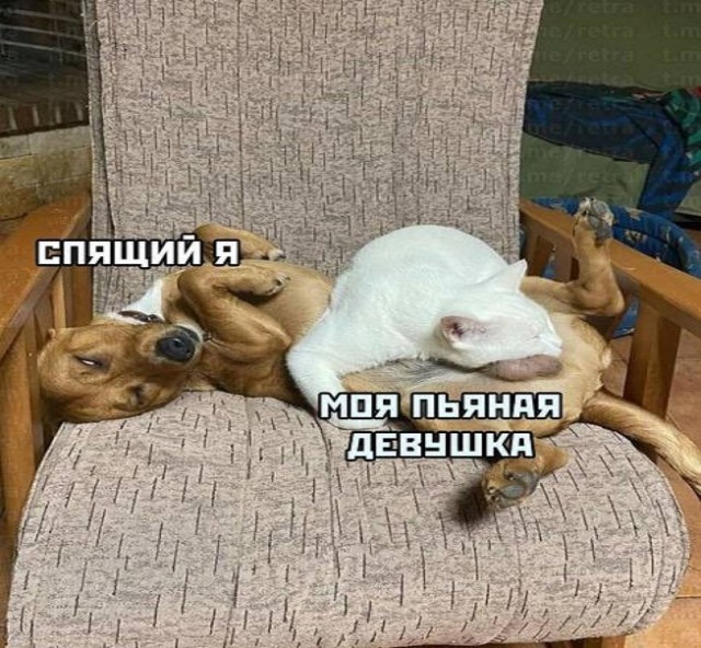 Картинки и мемы для настроения. Выходные скоро