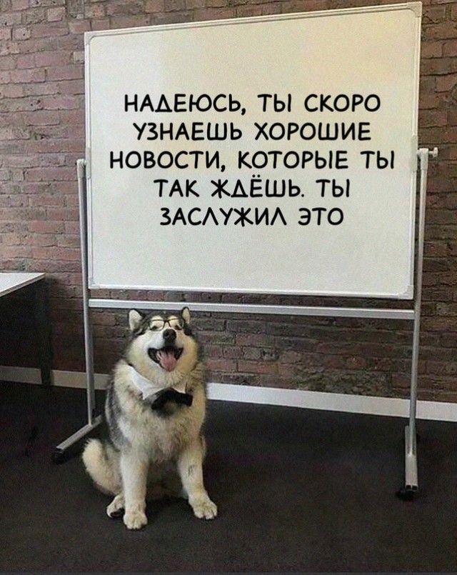 Немного картинок для настроения - 112
