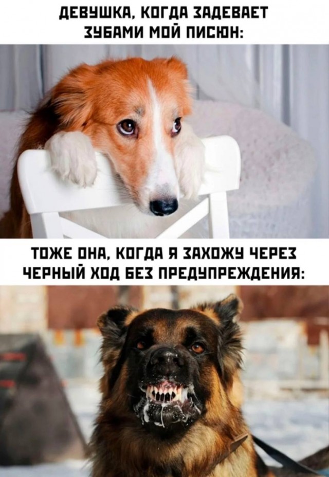 Немного мемчиков. Для взрослых 18+. Часть 13
