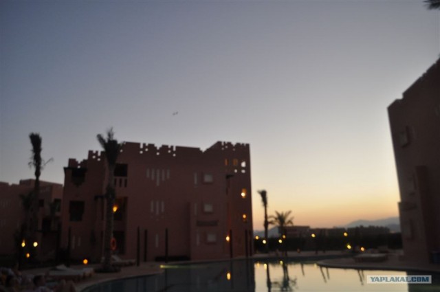 Как я ездил в Египет