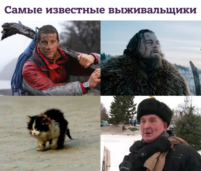 Госдума приняла во втором чтении закон о прожиточном минимуме на 2023 год.