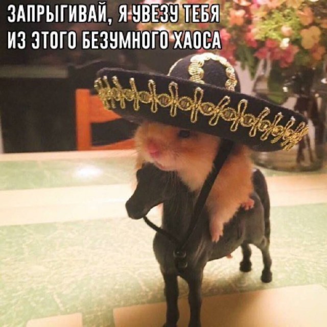 Картинки и мемы, всем хороших выходных