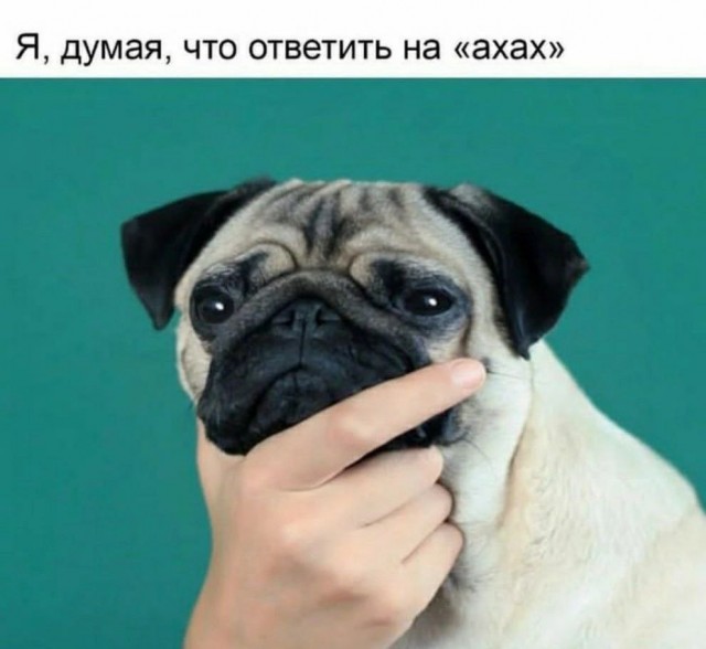 Так себе картинки 28.01.23