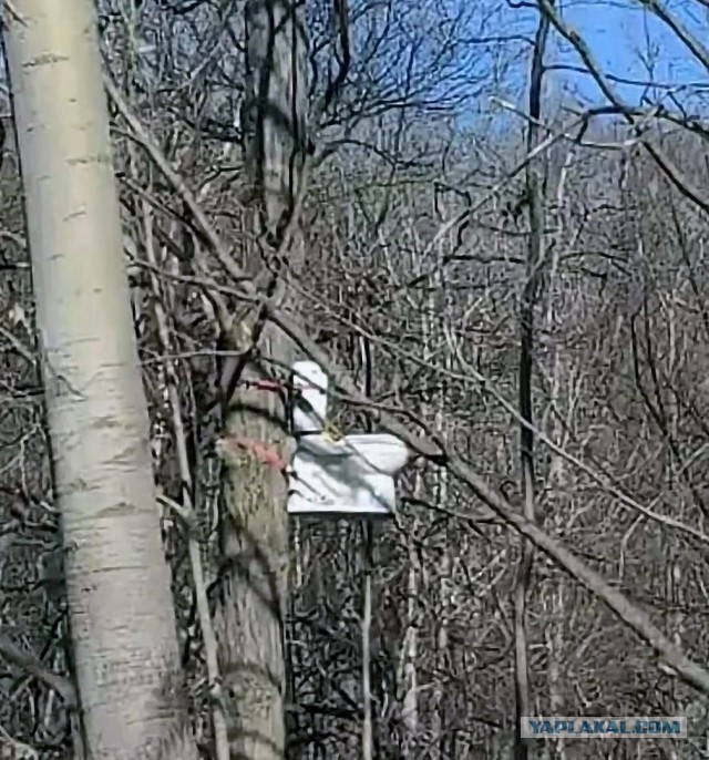 Охота в тайге? Да ну его...