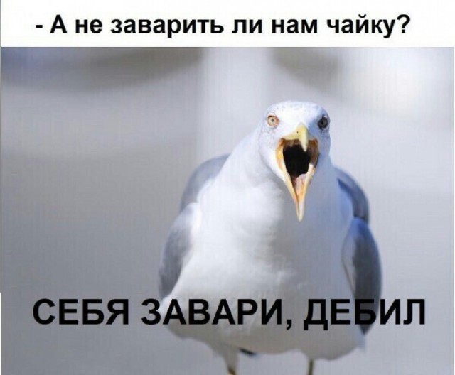 Юмор в картинках и без 12.04