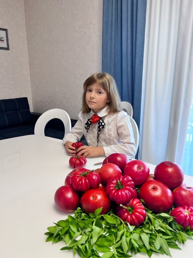 Девочка с помидорами⁠⁠