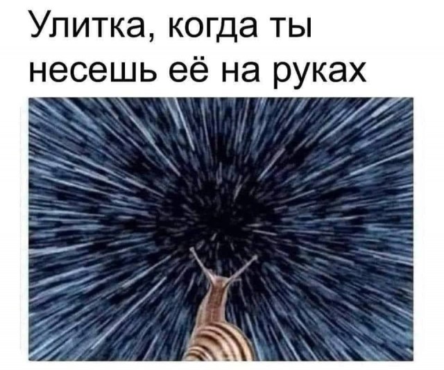 Народная меДИЧина 1005