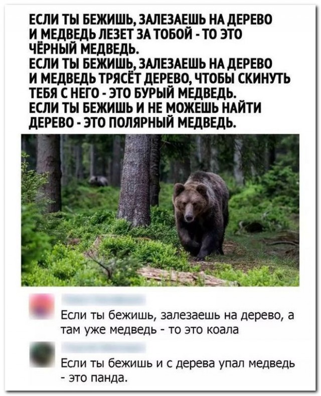 Забавные комментарии из социальных сетей (21.08.23)