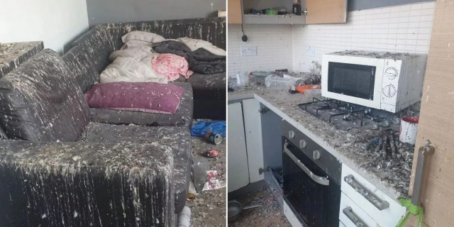 Забыли закрыть дверь: голуби уничтожили лондонскую квартиру