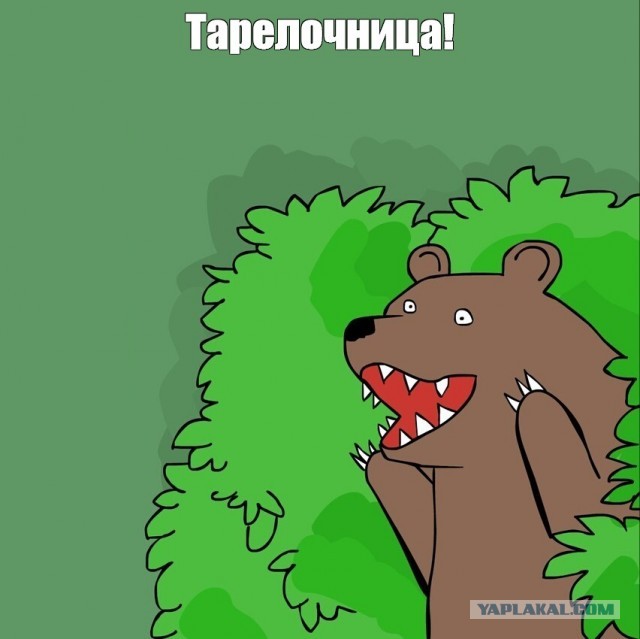 Полиция Москвы задержала банду тарелочниц