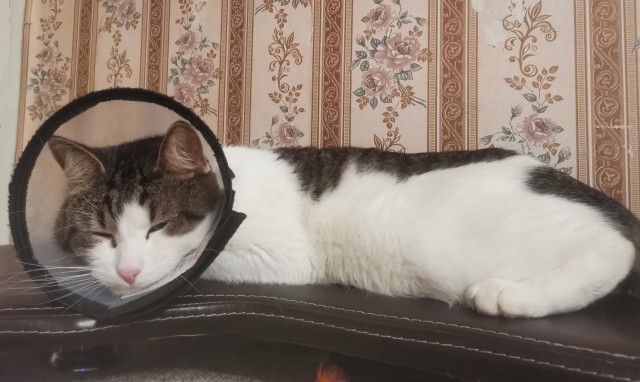 Ангел