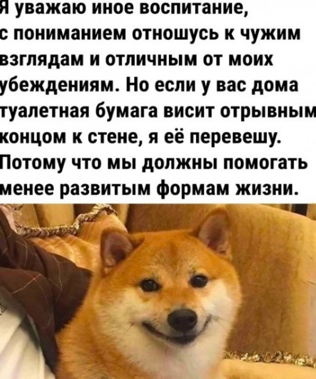Шах и мат? Картинки разной степени глупости