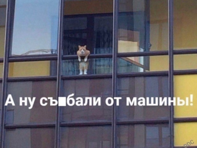 Тлидцать тли от 20 маЛта