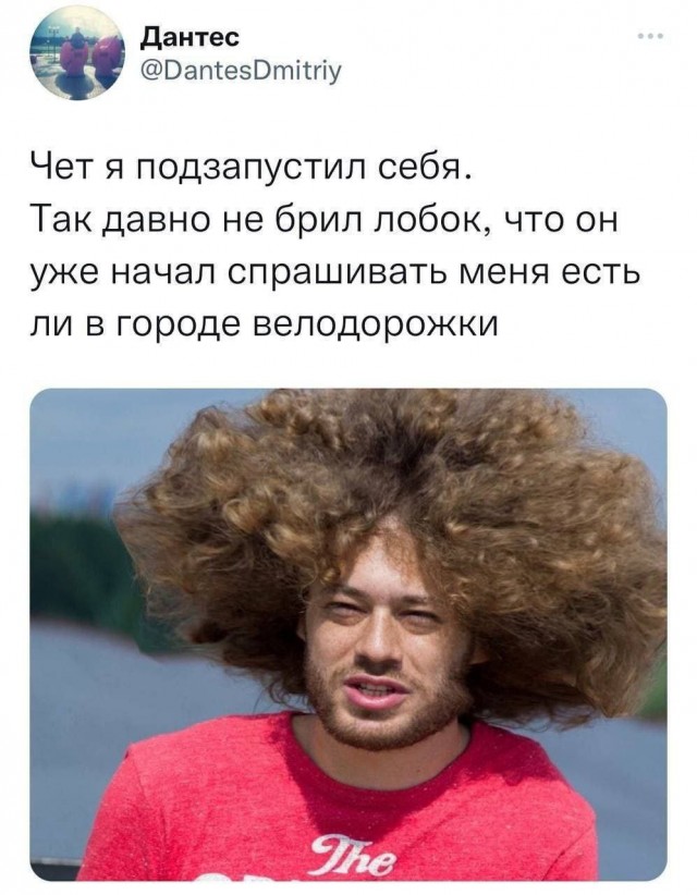 Никакие картинки