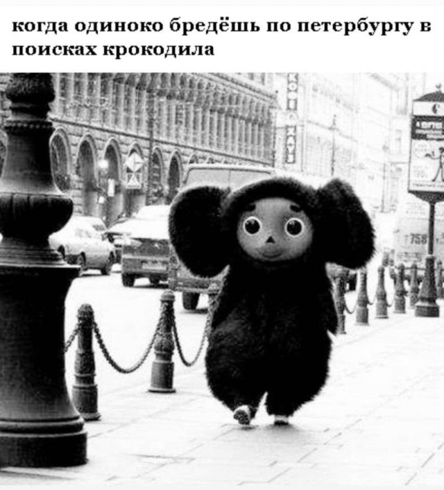 Картинки разные с надписями и без
