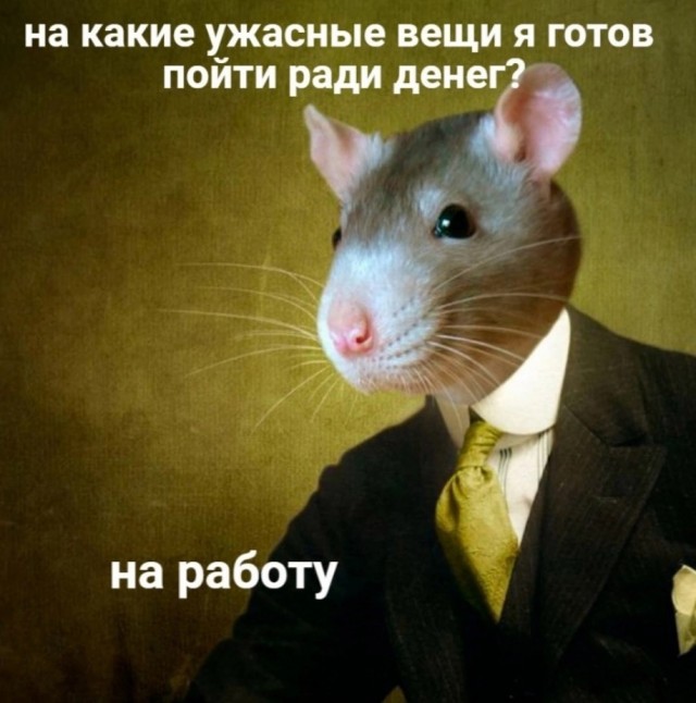 Весёлый полтишок 06.11.24