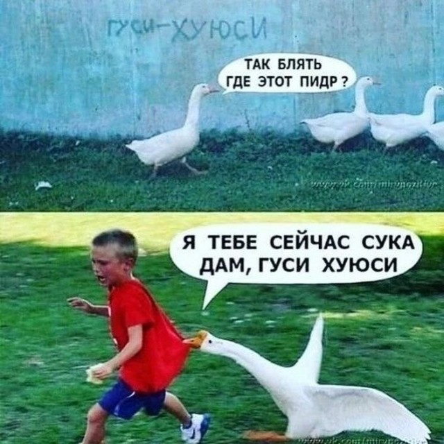 Быстрая деградация