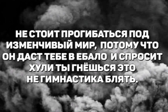 Весёлый полтишок 08.01.25