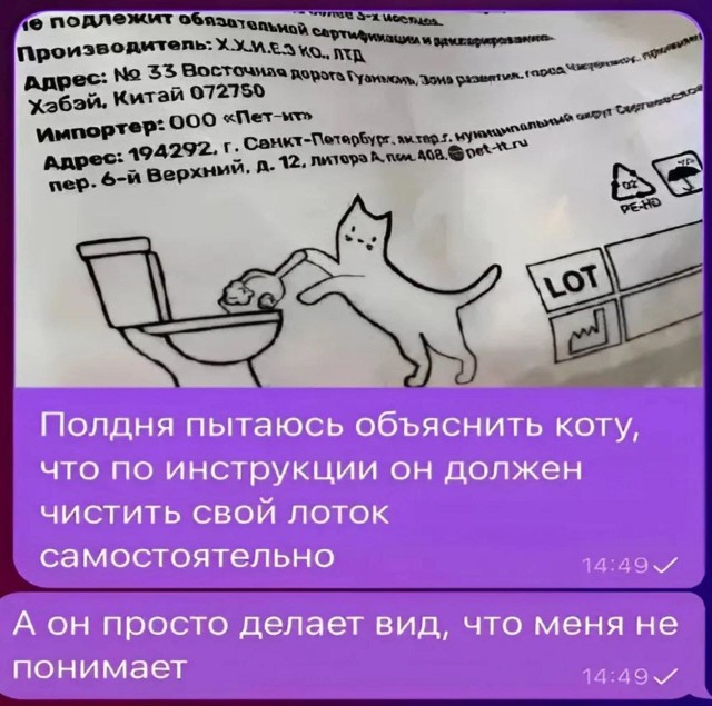 Так себе картинки 20.01.25
