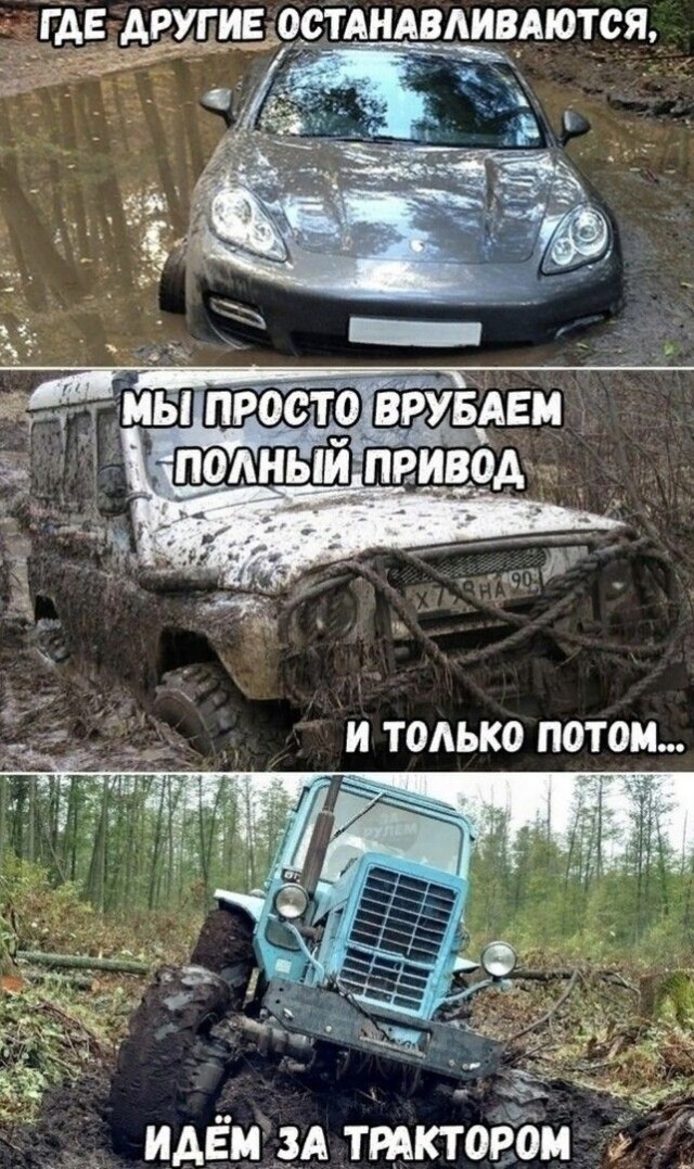 Немного забавных картинок от 13.02.2025