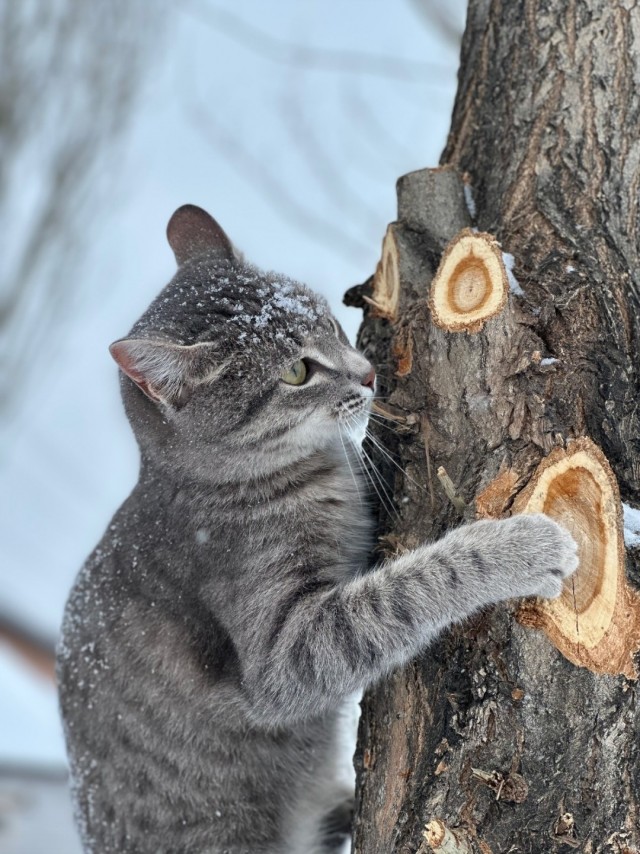 Чуете? Весна приближается