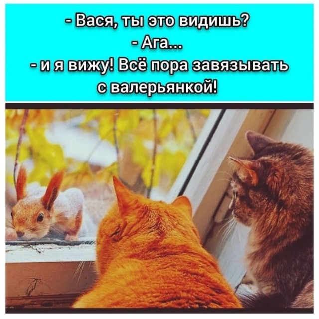 Так себе картинки 12.03.25