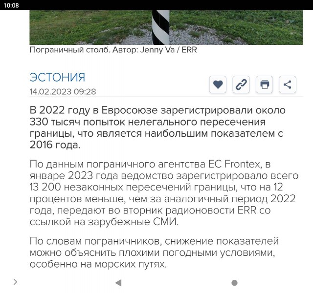 В Эстонии создали кавалерийский отряд пикинеров для патрулирования границы с Россией.