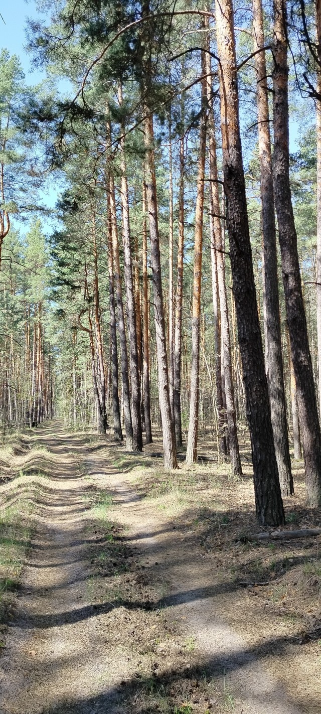 Разбавим политоту и жесть природой