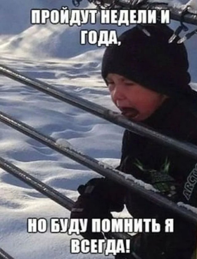 Юмор для тех, кто уже повзрослел и понял, что «личная жизнь» — это кот и плед