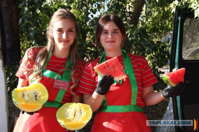 Весело жить у них там на селе