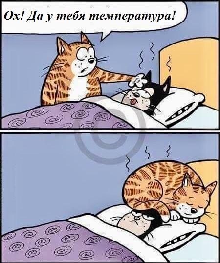 Веселое настроение в картинках (26.09.2025)