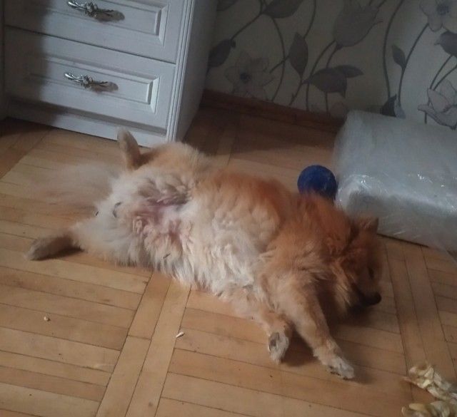 Режим проветривания