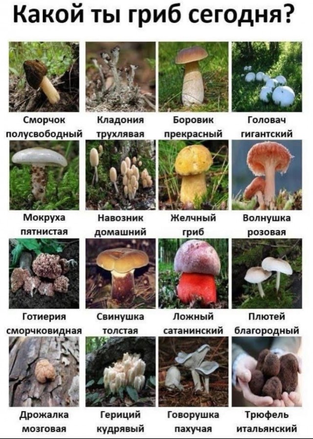 Четверг . Картинки для бодрого утра