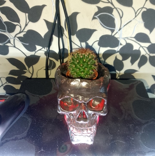 Всем привет? нужна ваша помощь?