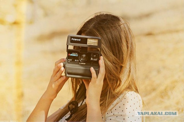 Факты о Polaroid