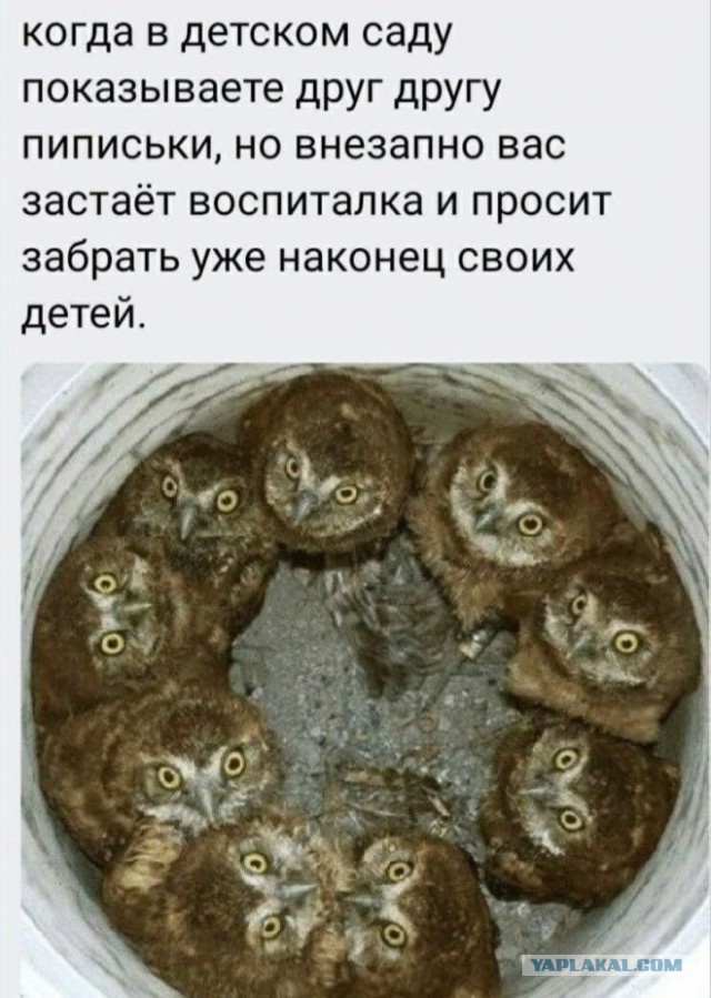 Картиночки, баянчики  04 декабря