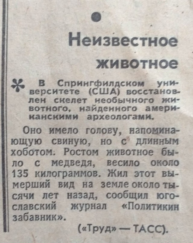 Нашёл газету