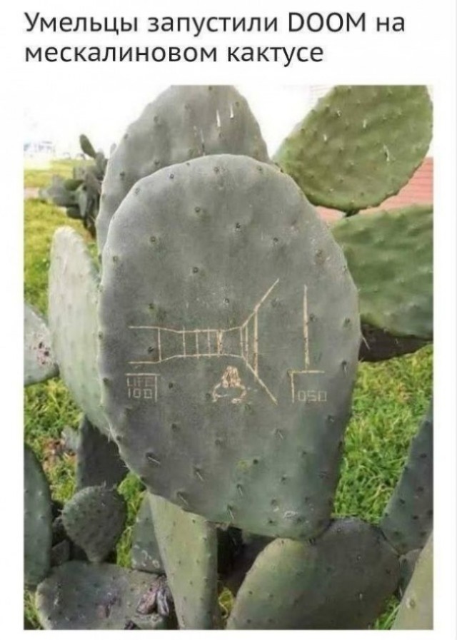 Всякой Хни вам в ленту, дорогие деграданты