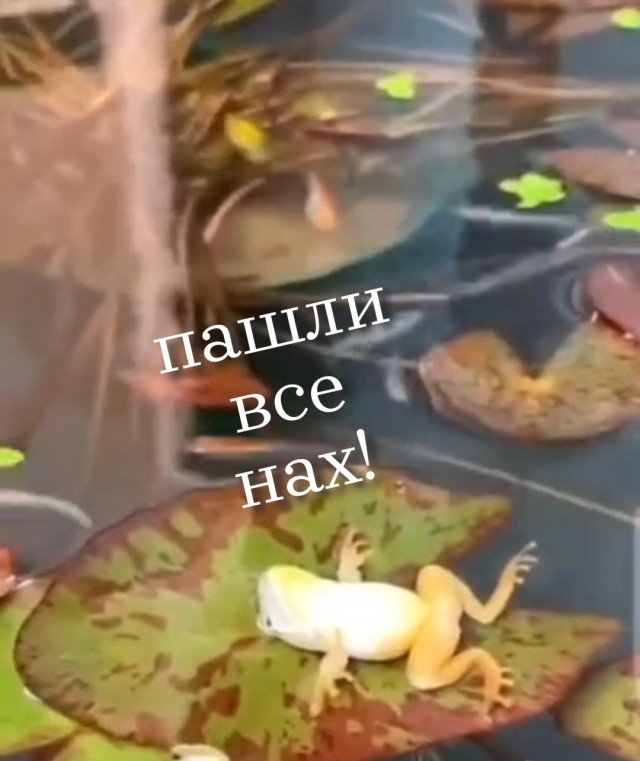 И пусть весь мир подождёт...